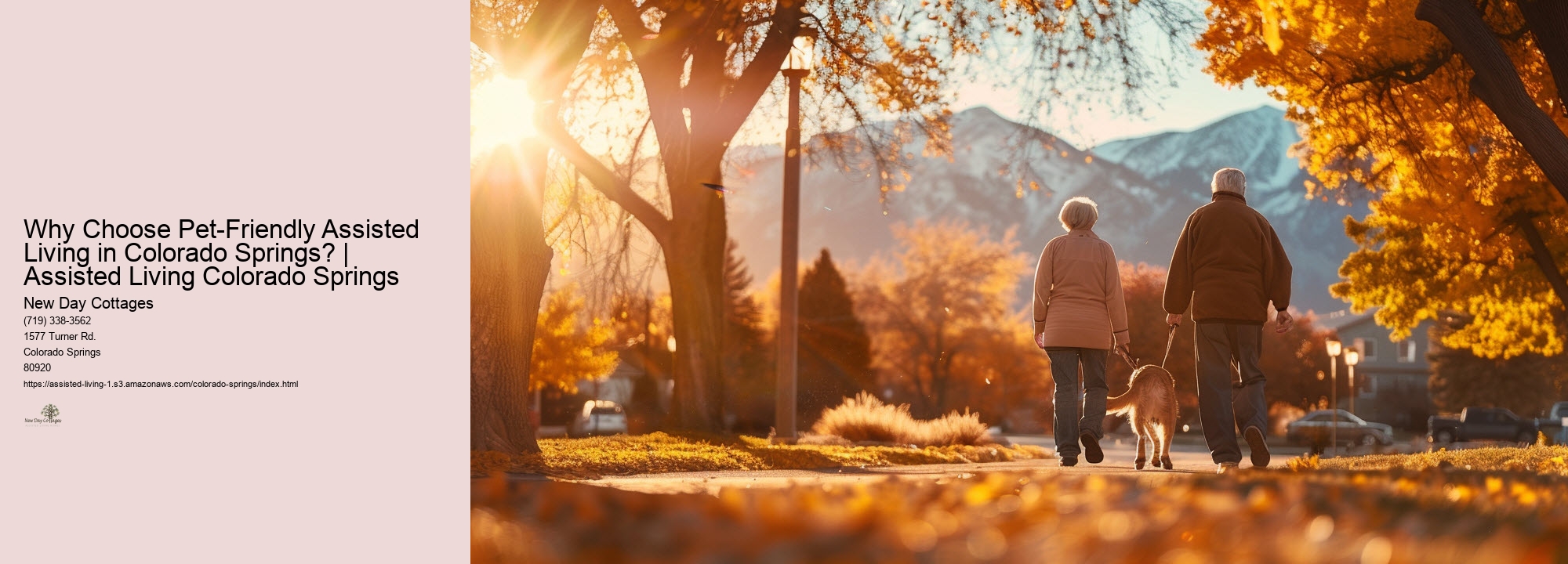 Why Choose Pet-Friendly Assisted Living in Colorado Springs? | Assisted Living Colorado Springs